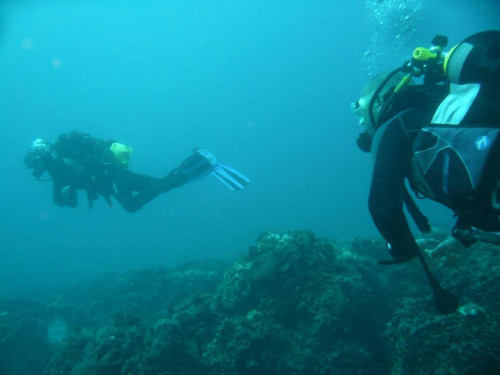 Deep Water Diver Diving